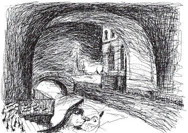 Иллюстрация к книге — Рыцарь, кот и балерина. Приключения эрмитажных котов [pic_33.jpg]