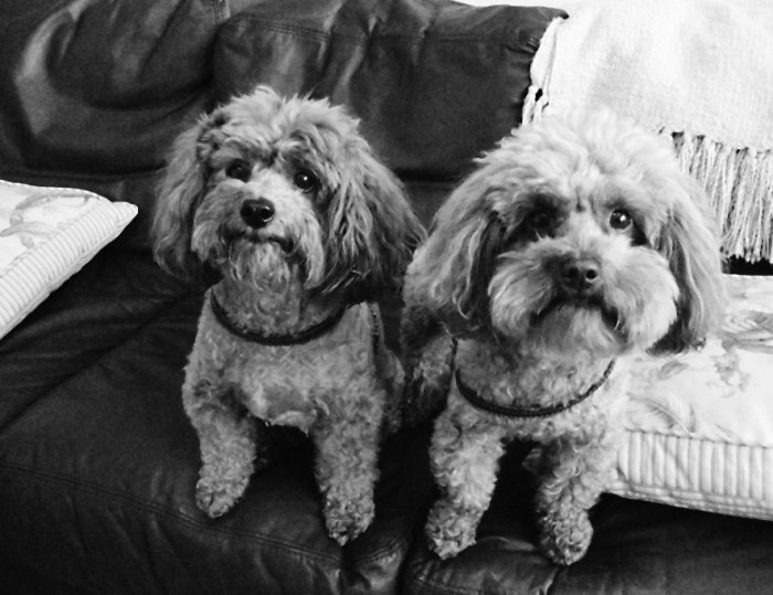 Иллюстрация к книге — Невидимая нить. Встреча, которая изменила все [_6_2.jpg]