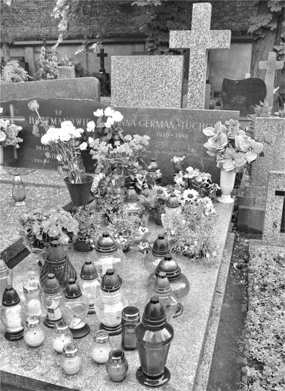 Иллюстрация к книге — Анна Герман. Сто воспоминаний о великой певице [i_181.jpg]