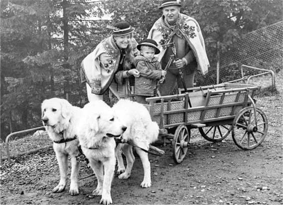 Иллюстрация к книге — Анна Герман. Сто воспоминаний о великой певице [i_185.jpg]