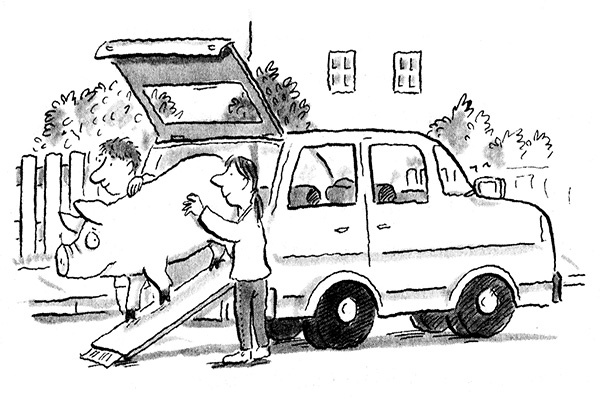 Иллюстрация к книге — Руди-Пятачок [i_017.jpg]