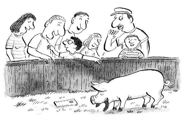 Иллюстрация к книге — Руди-Пятачок [i_024.jpg]