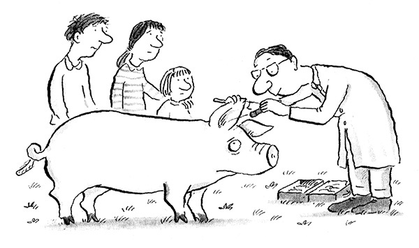 Иллюстрация к книге — Руди-Пятачок [i_031.jpg]