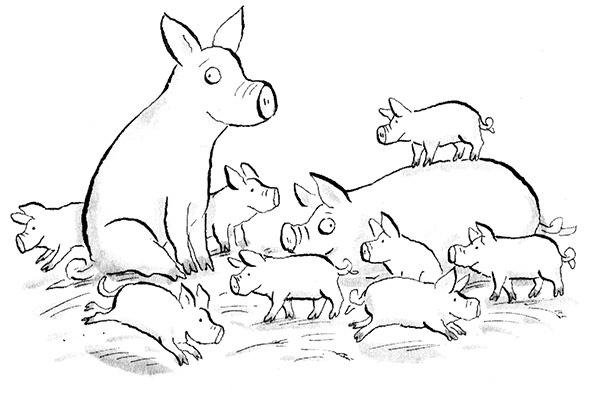 Иллюстрация к книге — Руди-Пятачок [i_032.jpg]