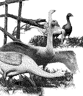 Иллюстрация к книге — Привет от тети Моти [end.jpg]