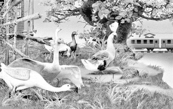 Иллюстрация к книге — Привет от тети Моти [kvadratzastavka.jpg]