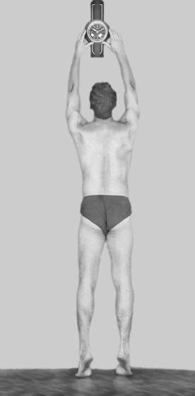 Иллюстрация к книге — Ария для спины. Авторская программа, чтобы никогда не болели суставы [i_022.jpg]