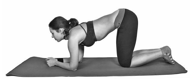 Иллюстрация к книге — Ария для спины. Авторская программа, чтобы никогда не болели суставы [i_056.jpg]