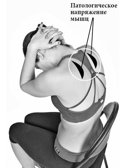 Иллюстрация к книге — Ария для спины. Авторская программа, чтобы никогда не болели суставы [i_141.jpg]