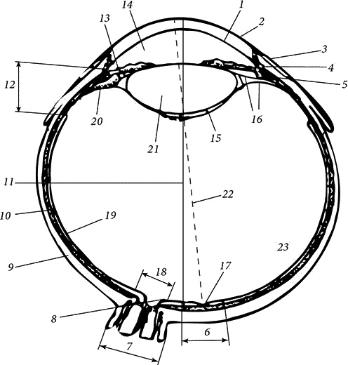 Иллюстрация к книге — Как снять очки за 10 занятий без операции [_067.jpg]