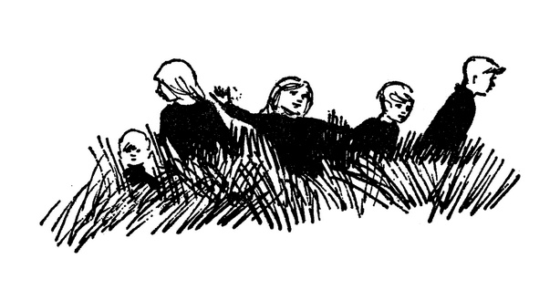 Иллюстрация к книге — Когда здесь была Марни [i_038.jpg]