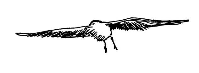 Иллюстрация к книге — Когда здесь была Марни [i_048.jpg]