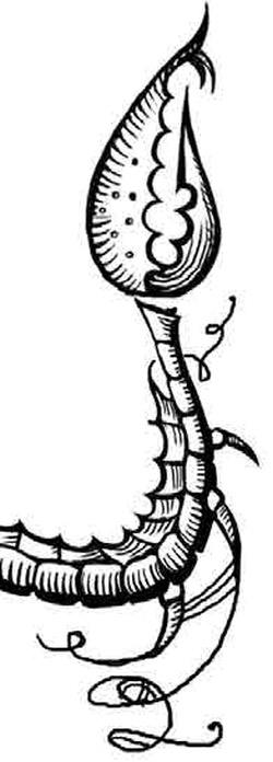 Иллюстрация к книге — Мутангелы. Уровень Пи [i_016.jpg]