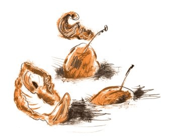 Иллюстрация к книге — Библия в СМСках [i_077.jpg]