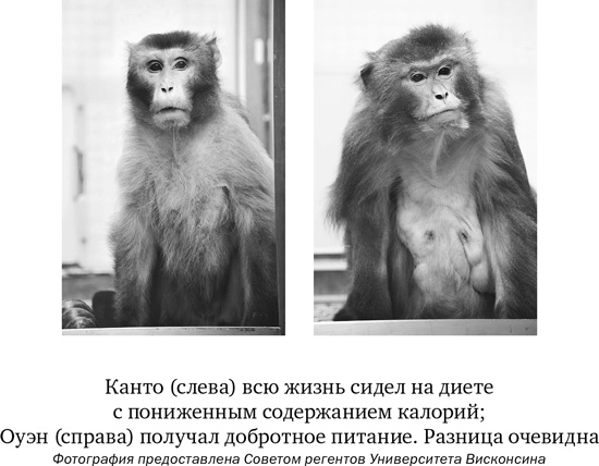 Иллюстрация к книге — Стареть не обязательно! Будь вечно молодым, или Сделай для этого всё возможное [i_008.jpg]