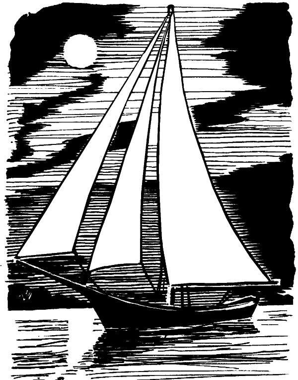 Иллюстрация к книге — Интуиция дурака, или Как достать халявный миллион решений [i_003.jpg]