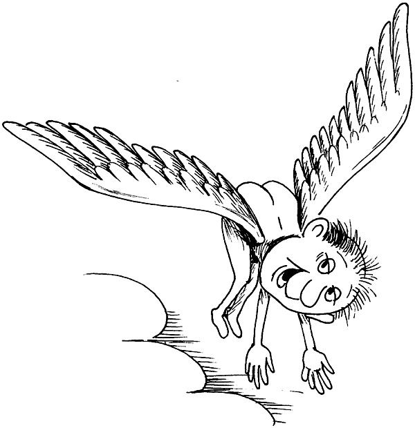 Иллюстрация к книге — Интуиция дурака, или Как достать халявный миллион решений [i_010.jpg]