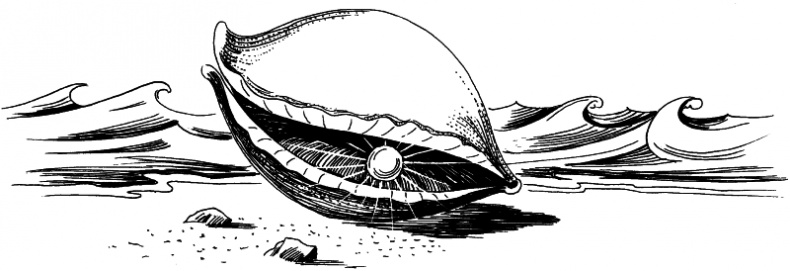 Иллюстрация к книге — Интуиция дурака, или Как достать халявный миллион решений [i_050.jpg]