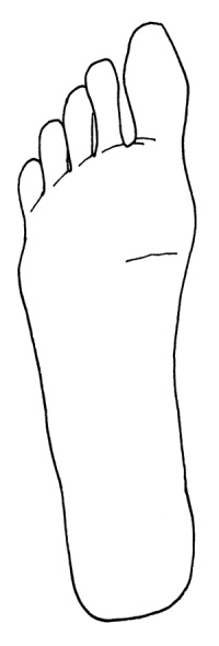 Иллюстрация к книге — Как с помощью ласки уложить мужчину на лопатки [i_003.jpg]