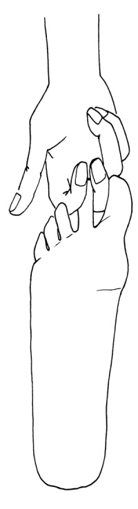 Иллюстрация к книге — Как с помощью ласки уложить мужчину на лопатки [i_004.jpg]