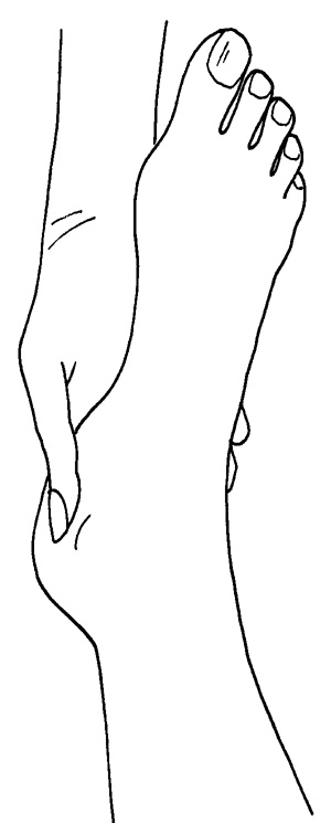 Иллюстрация к книге — Как с помощью ласки уложить мужчину на лопатки [i_006.jpg]