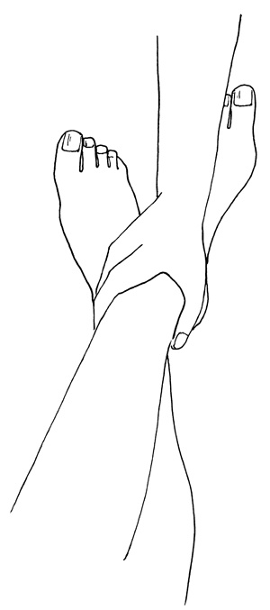 Иллюстрация к книге — Как с помощью ласки уложить мужчину на лопатки [i_007.jpg]