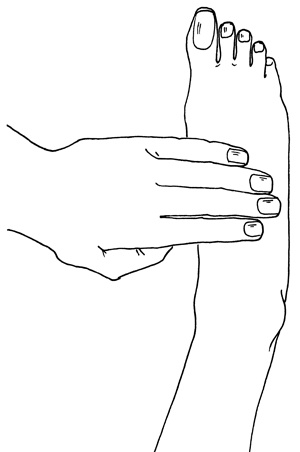 Иллюстрация к книге — Как с помощью ласки уложить мужчину на лопатки [i_008.jpg]