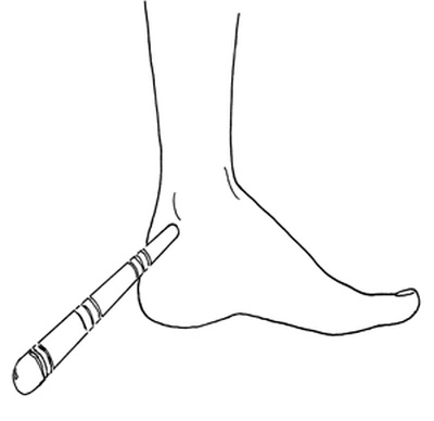 Иллюстрация к книге — Как с помощью ласки уложить мужчину на лопатки [i_011.jpg]