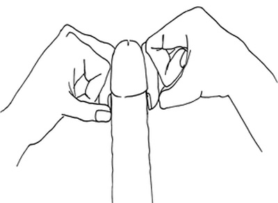 Иллюстрация к книге — Как с помощью ласки уложить мужчину на лопатки [i_014.jpg]