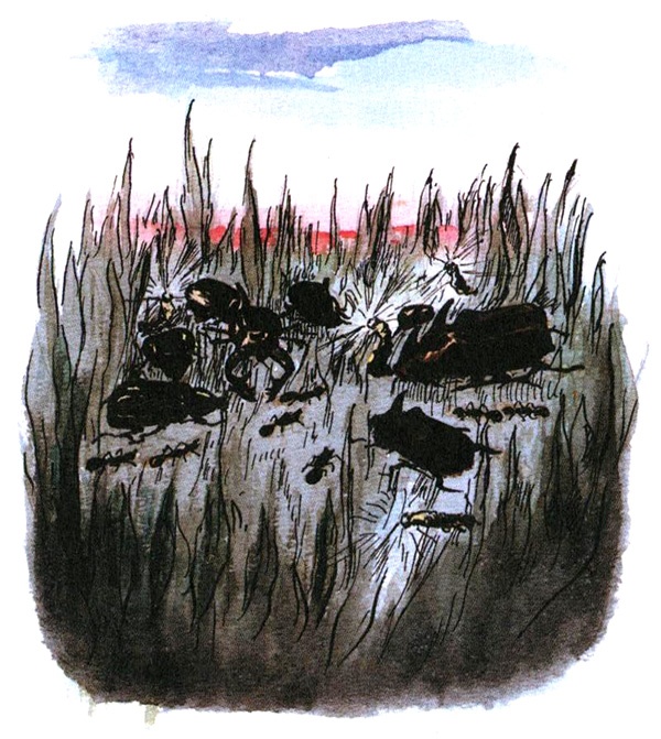 Иллюстрация к книге — Девочка с голубыми глазками. Марочкин сон [i_018.jpg]