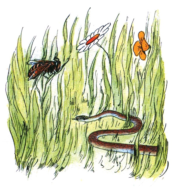 Иллюстрация к книге — Девочка с голубыми глазками. Марочкин сон [i_020.jpg]