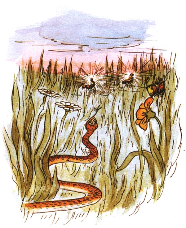 Иллюстрация к книге — Девочка с голубыми глазками. Марочкин сон [i_021.jpg]