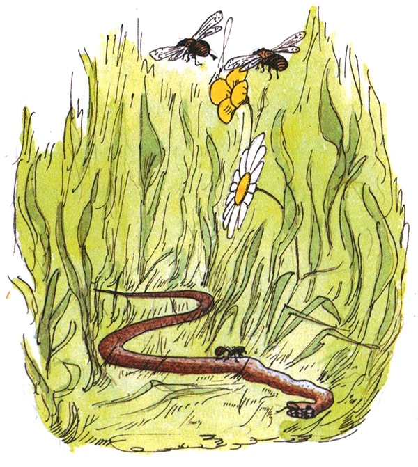 Иллюстрация к книге — Девочка с голубыми глазками. Марочкин сон [i_025.jpg]