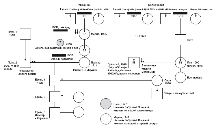 Иллюстрация к книге — Власть рода. Родовые программы и жизненные сценарии [i_014.jpg]