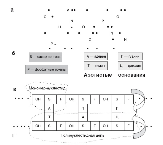Иллюстрация к книге — Власть рода. Родовые программы и жизненные сценарии [i_038.jpg]
