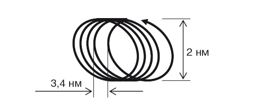 Иллюстрация к книге — Власть рода. Родовые программы и жизненные сценарии [i_039.jpg]