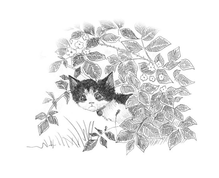 Иллюстрация к книге — Котёнок Пуговка, или Храбрость в награду [tfkitten_109.jpg]