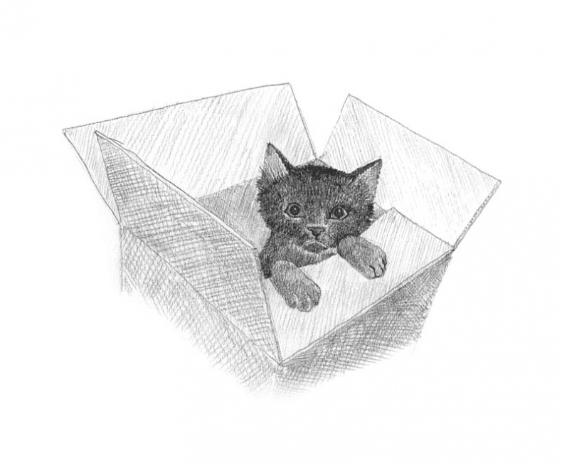 Иллюстрация к книге — Котёнок Пуговка, или Храбрость в награду [tfkitten_12.jpg]