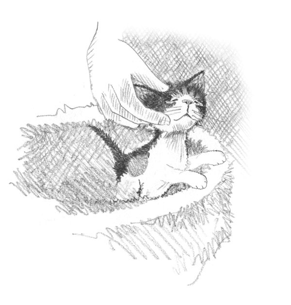 Иллюстрация к книге — Котёнок Пуговка, или Храбрость в награду [tfkitten_26.jpg]