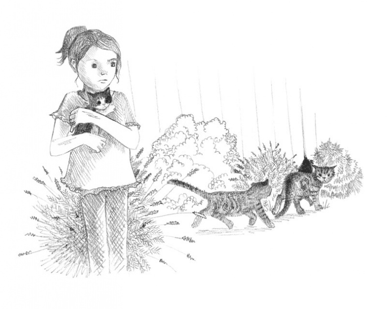 Иллюстрация к книге — Котёнок Пуговка, или Храбрость в награду [tfkitten_58.jpg]