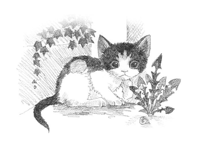 Иллюстрация к книге — Котёнок Пуговка, или Храбрость в награду [tfkitten_98.jpg]