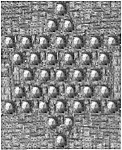 Иллюстрация к книге — Костяной лабиринт [_017_3.jpg]