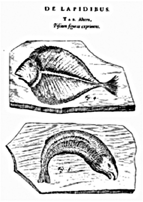 Иллюстрация к книге — Костяной лабиринт [_167_3.jpg]