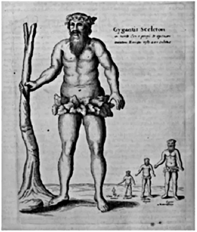 Иллюстрация к книге — Костяной лабиринт [_168_3.jpg]