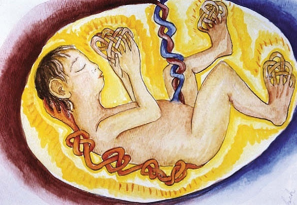 Иллюстрация к книге — Исцеление наших самых глубоких ран. Холотропный сдвиг парадигмы [i_028.jpg]