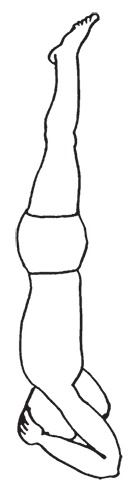 Иллюстрация к книге — Закон притяжения. Как получить всё, чего вы хотите [i_001.jpg]