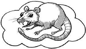 Иллюстрация к книге — Школа монстров. Подруги навсегда! [_211_1.jpg]