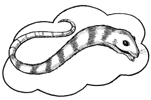 Иллюстрация к книге — Школа монстров. Подруги навсегда! [_211_2.jpg]