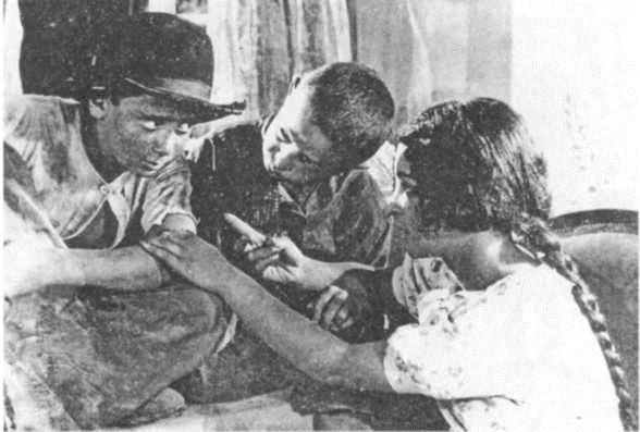 Иллюстрация к книге — Красная звезда, желтая звезда [Pic_20.jpg]