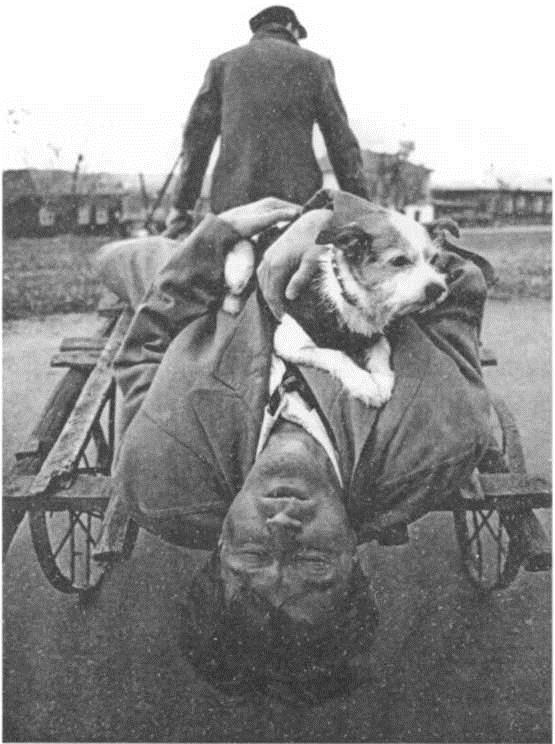 Иллюстрация к книге — Красная звезда, желтая звезда [Pic_25.jpg]